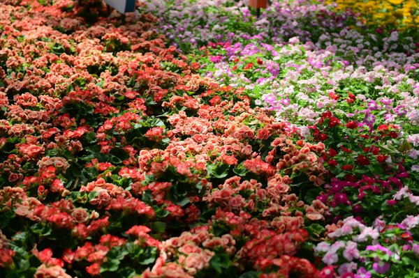 Découvrez comment les systèmes auto-adaptatifs transforment votre maison en 2025